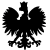 Polish Polish