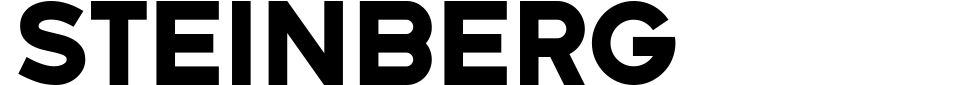 Visualização - Fonte Steinberg