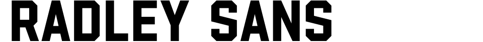 Visualização - Fonte Radley Sans