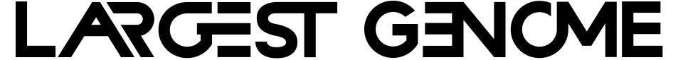 Visualização - Fonte Largest Genome