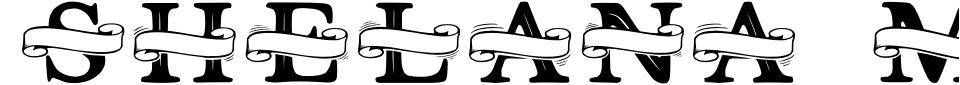 Vorschau der Schriftart - Shelana Monogram Split