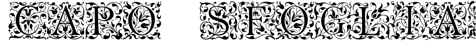 Vorschau der Schriftart - Capo Sfogliato