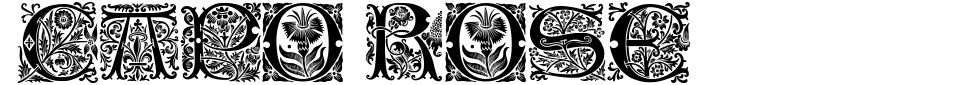 Vorschau der Schriftart - Capo Rose