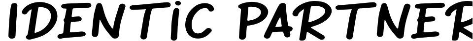 Identic Partner Script Display Font Preview