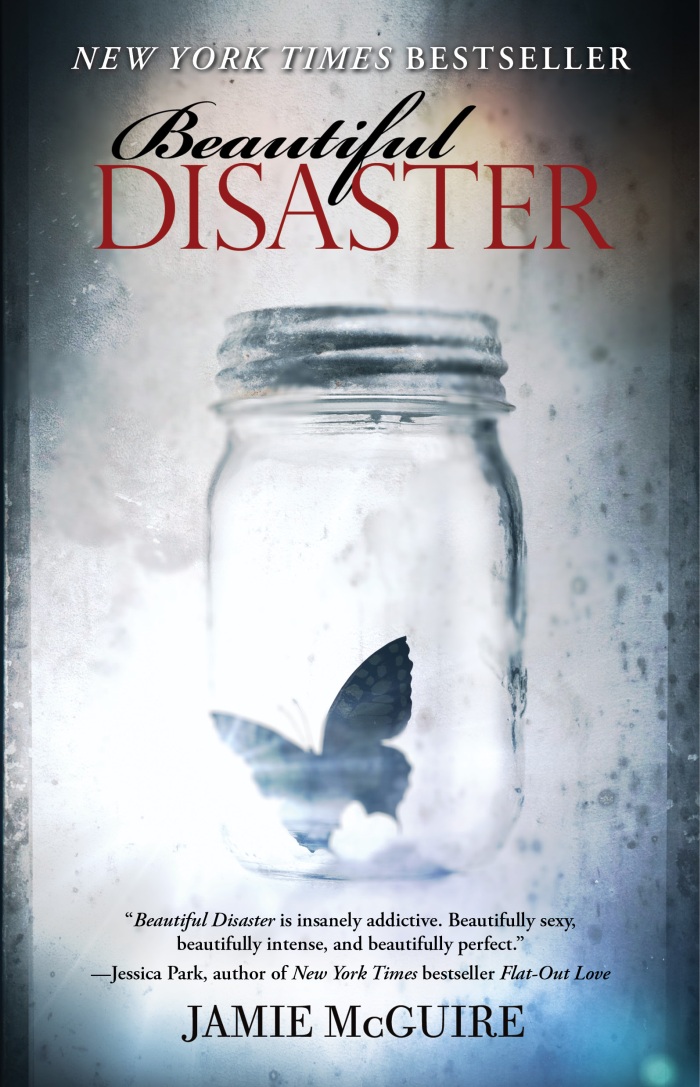 Beautiful Disaster book cover
