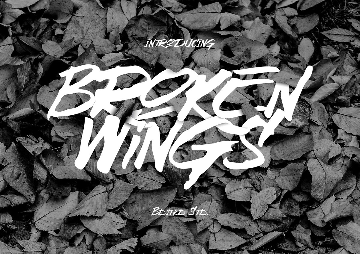 Broken Wings – Free Hand-Drawn Font Poster A