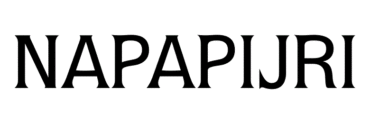 Napapijri Logo Font
