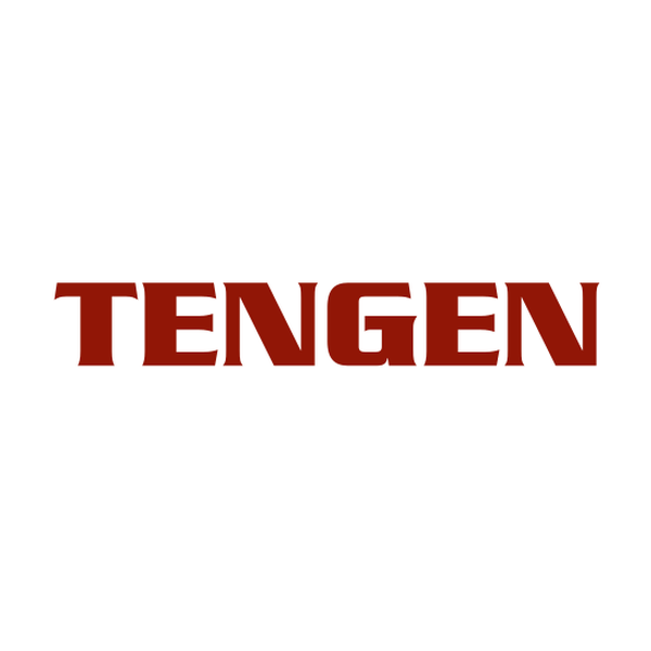 tengen logo