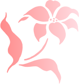 de640278f2022549171ed71483852a22.png