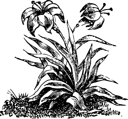 bf9d9568ea6129e7d23975e53e57722c.png