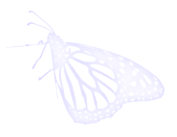 4017429bea37b7df9b53483a6d936ec9.png