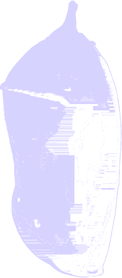 6c7058701c68d39a4fd77140d484b731.png