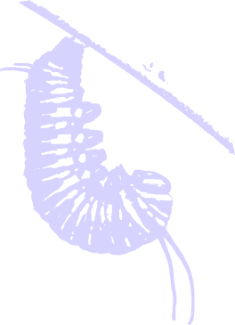 86ed24b59d8d8bbb8acae21977f8175e.png