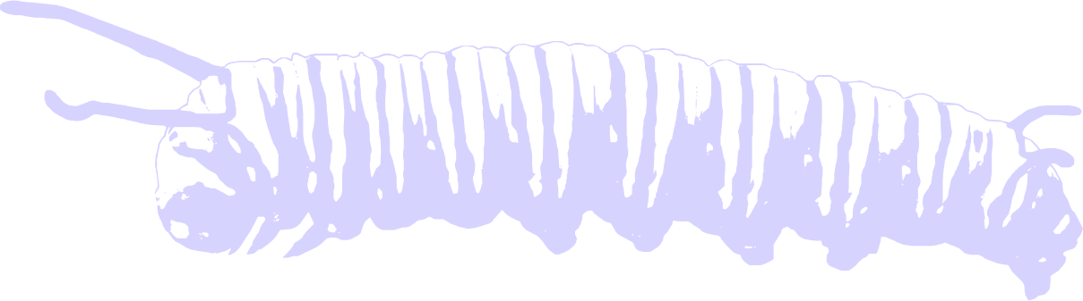 e9de76a6bd97f25cd1dcdf6d9436fbb1.png