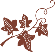 106a4a81a515e305adb15e5529029a65.png