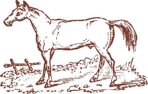 217ab02057125a4f34bf59e84386e86d.png