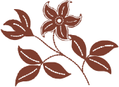 67e09d5dbbaf421cc1b7bc876aac1897.png