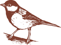 7cb1ecd8cb9d3c705779b9356bc4a601.png