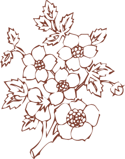 d3fd455a78fa1222174315d197acaba0.png