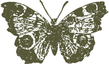 d5944ebccc371d2114a67e7630e2512c.png