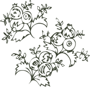 29e48a3234d65f0ae4350d2e063375e4.png