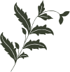 400b945c2617195a3d658edc72c9e7b9.png