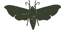 55d82a8123de201901e5db1e2a5fc0d8.png