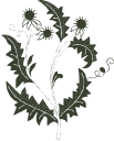 6eac4f9524ed88df907538d04f29590f.png