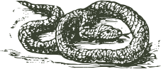 fb3adf8fdb78d483d72fcf9019ce7464.png