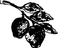 4f00bdbf35bbf51875b5ee6dfb5c83da.png