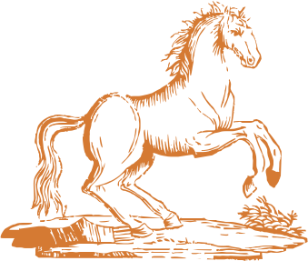 5cf2509e0b62e9cea3308168ca26f990.png