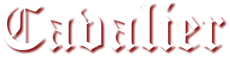 069a2278ab78bd5354caa9d92b882f75.png