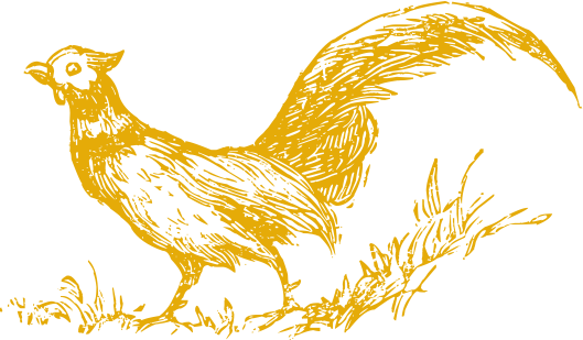 b3706a94922a665d831f241904cff2c2.png
