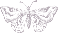 43e2c785ffa16b6cdcf5870263d45b63.png