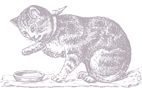 2327ab653107480c04c80146085e574d.png