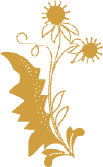 14e56175.png