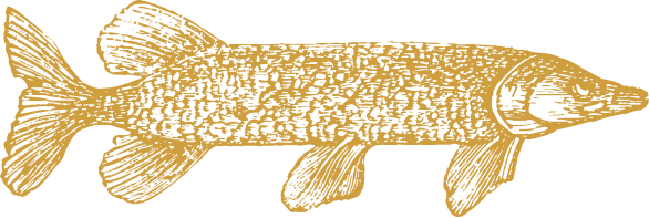 567a52bb.png