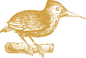 c339c0a2.png