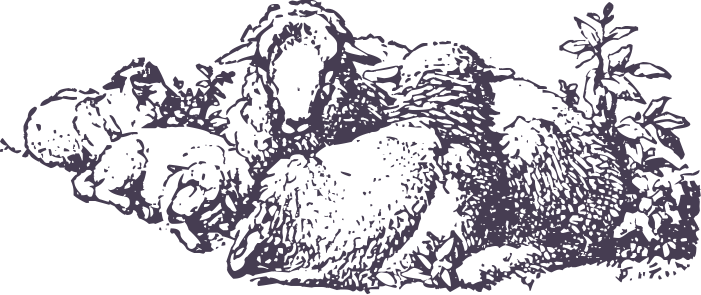 02a36087.png