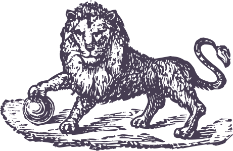 5713053a.png