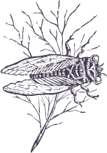 5d9d5147.png
