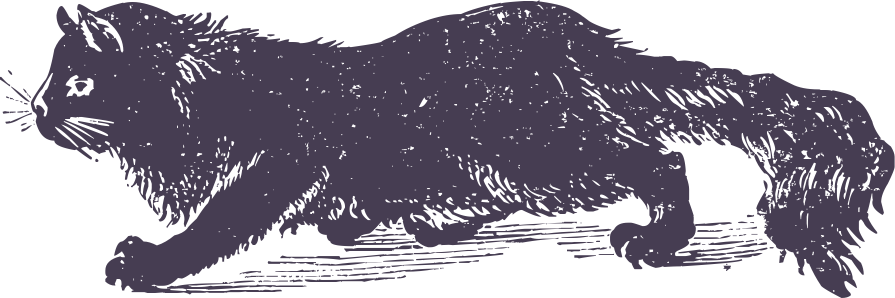 7095dc19.png