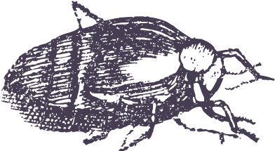 addccd63.png