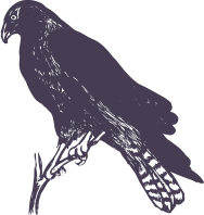bc3975b1.png