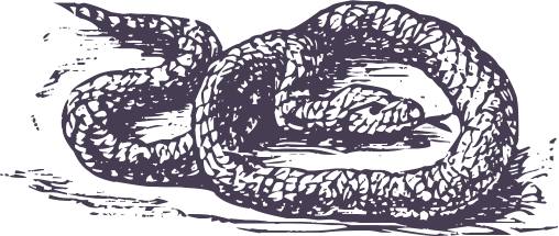 ecd50d27.png