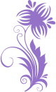 e8af7d55.png