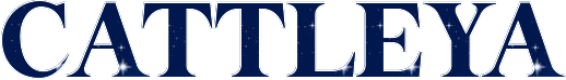 b12072e3.png