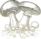 edf65545.png