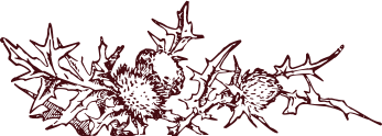 0d50eb7b.png