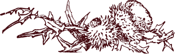 cfe0012c.png